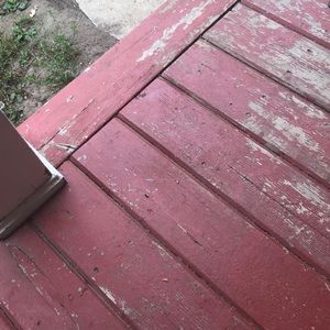 Meet your Posher, Reet